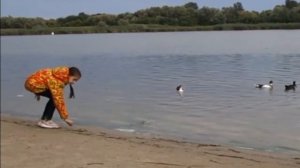 рыбалка и отдых на Дону под Старочеркасском , летняя база "беседка"