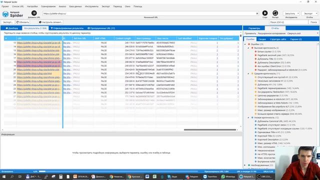 Как выявить пустые рубрики при помощи Netpeak Spider смотреть онлайн