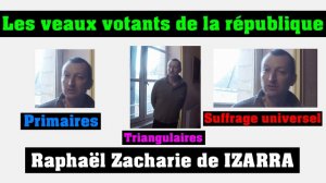 Les veaux votants de la république - Raphaël Zacharie de IZARRA