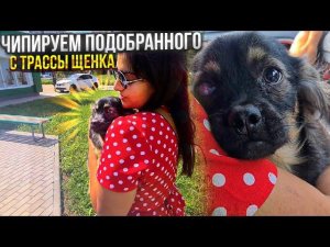 Тимошке нашлись ручки с Германии. Строим навес-вольер для собак.