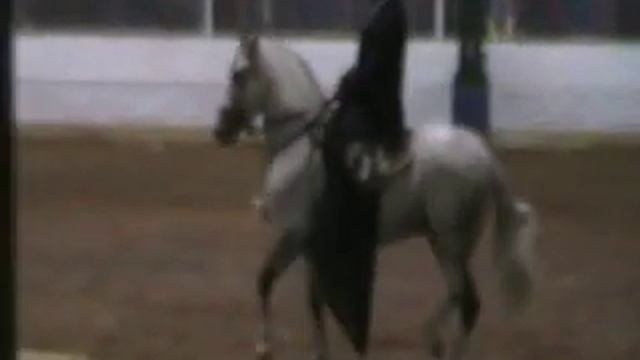 RENZO DE VILLA YANETH смотреть онлайн