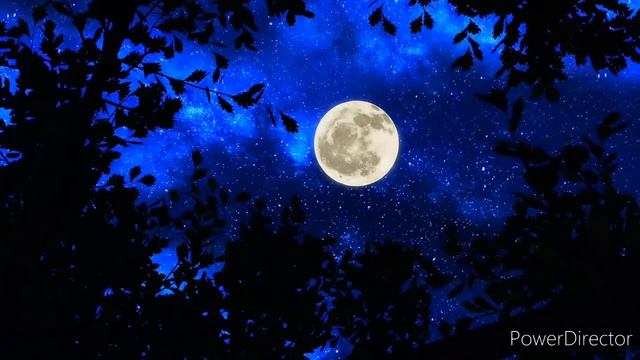 Мелодия ночного неба
