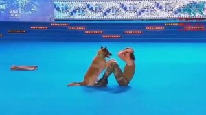 Вот это дрессировка. Танец собаки на чемпионате.