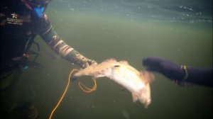 подводная охота Саратов