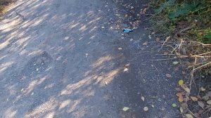 БЛЕСК И НИЩЕТА ОРЛОВСКИХ УЛИЦ НА ПРИМЕРЕ НАУГОРСКОГО ШОССЕ! КОНТРАСТ УДИВЛЯЕТ! 💤
