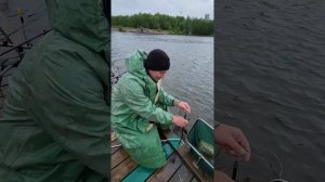 Рыбалка на белугу. Вот это ДА. Лучшая рыбалка в Подмосковье