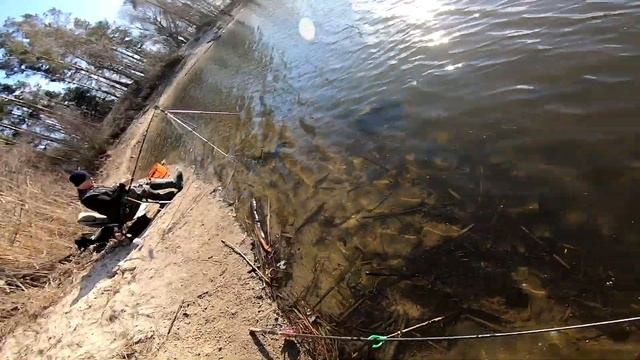 КАРАСЬ НА ПОПЛАВОК! рыбалка на удочку, фидер, флет весной. ловля карася смотреть онлайн