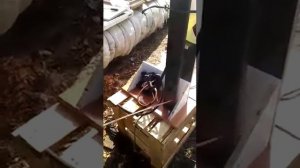 ПРОВЕРКА ТНВД система Common Rail в гаражных условиях