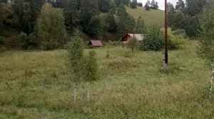 ПЕРЕЕЗД НА АЛТАЙ, ЖИЗНЬ В ГАРМОНИИ С ПРИРОДОЙ