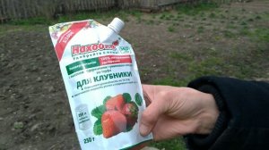 Опыт применения удобрения ТМ Находка - клубника, Волжск