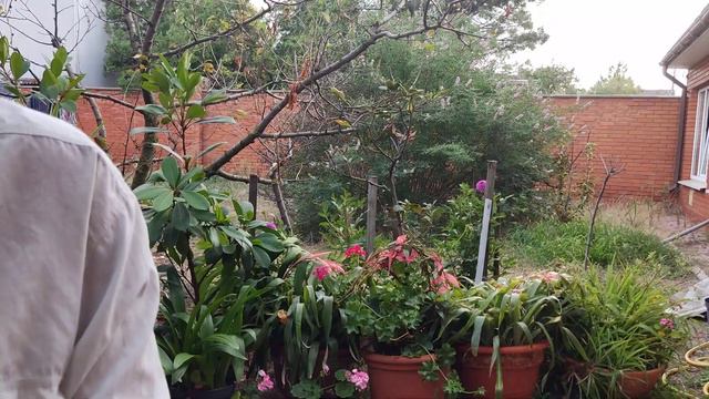 Мариуполь#Пицца на Медовый Спас смотреть онлайн