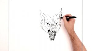 How To Draw A Werewolf | Step By Step