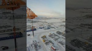 новая чара завод