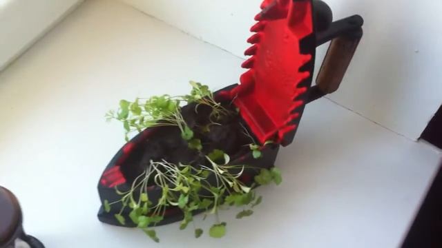 старинный утюг на углях для цветов смотреть онлайн