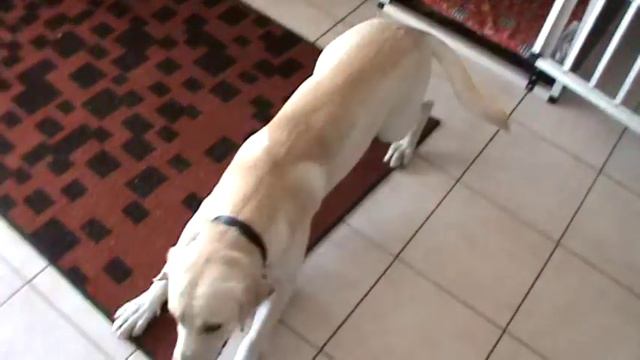 команда "умри" смотреть онлайн