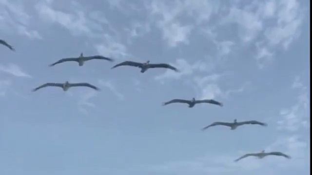 ПОМОЛИМСЯ ЗА РОДИТЕЛЕЙ! СИНЯЕВА ГАЛИНА смотреть онлайн