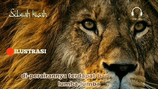 Misteri Atlantis: Arisyo Santos Dan Kaitannya Dengan Ayat Al Quran #sebuahkisahku #atlantis смотреть онлайн