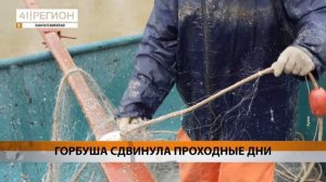 ГОРБУША СДВИНУЛА ПРОХОДНЫЕ ДНИ • НОВОСТИ КАМЧАТКИ