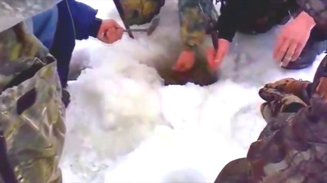 УСТАЛ ТАЩИТЬ!!! ЛЕЩ МОНСТР!!! ТРОФЕЙНЫЙ ЛЕЩ НА ЖЕЛЕЗНОГОРСКОМ ВОДОХРАНИЛИЩЕ!!!!!! смотреть онлайн