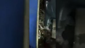 Лодочный мотор Yamaha 150 л.с, 4-такта, нога Х635 из Японии. MotorKrym.   Мотор без нареканий Видео