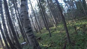 Выживание в тайге 48 часов #1часть