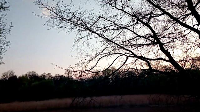 РАССВЕТ слушаем куских Соловьев извините что тихо смотреть онлайн