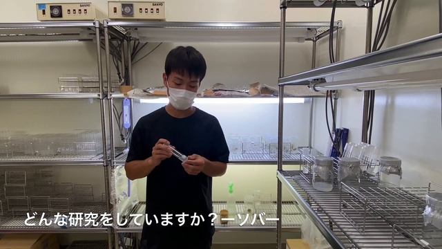 【農学部】松島憲一准教授 根本和洋助教（植物遺伝育種学研究室）2021オープンラボ動画 смотреть онлайн
