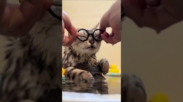 1000002213.mp4 смотреть онлайн