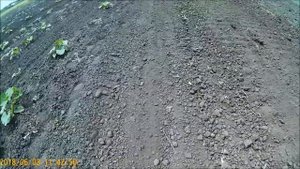 Культиватор к минирактору самодельный ЕВРОПАК минитрактор Прикарпатец