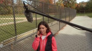 Saramonic SoundBird V6 Shotgun Microphone | Get Superb, Mix-Ready Recordings of the Highest Caliber