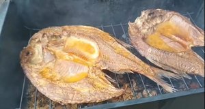 Горячее копчение рыбы, в домашних условиях.