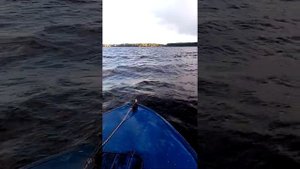 Прогресс 4. Мотор маринер 2000 год 25 л.с