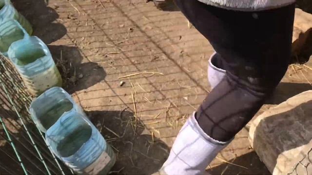 Уникальные Гнёзда с яйцеприемником своими руками-расклева яиц не будет!