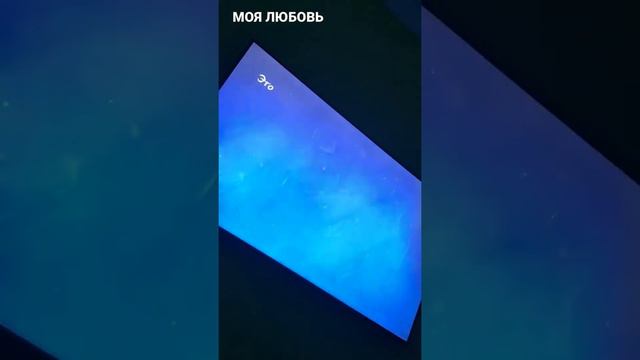 Твой последний поцелуй