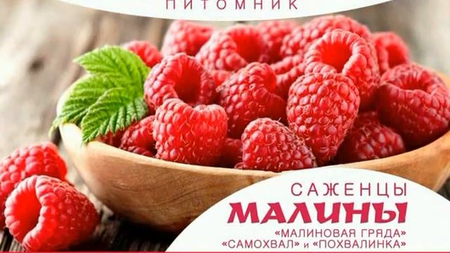 Садовый центр Любимый сад. г.Нижний Новгород.