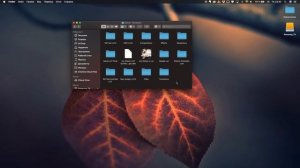 КАК УСТАНОВИТЬ ЭФФЕКТЫ И ПЛАГИНЫ В FINAL CUT PRO X (HOW TO INSTALL TRANSITIONS INTO FCPX)