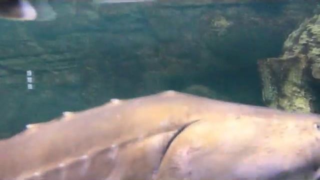 Немного Москвы смотреть онлайн