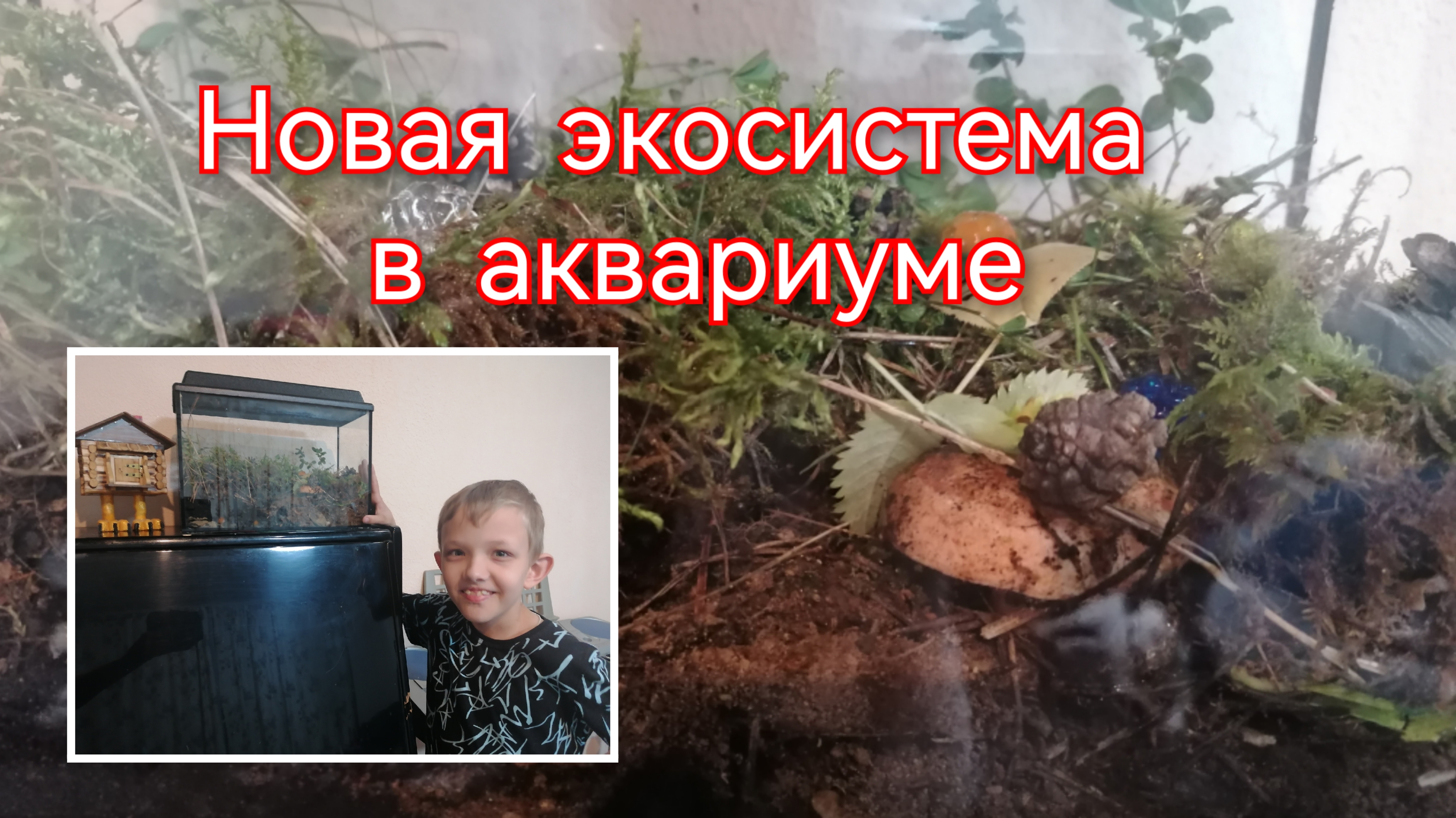 Замкнутая экосистема. Часть 3.