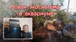 Замкнутая экосистема. Часть 3.