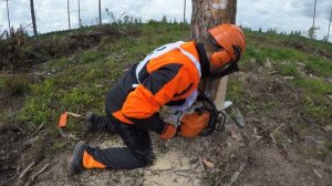 Бензопила stihl MS241C
