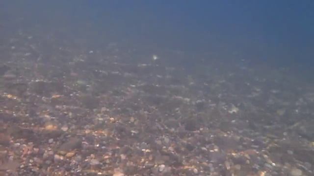 Чёрное море. Сверкающие медузы. смотреть онлайн