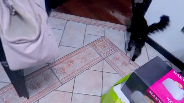 VLOG : ШИКАРНАЯ ПРИЧЁСКА | ПРОГУЛКА ПО МОСКВЕ | ВЛОГ : 17.05.2017 смотреть онлайн