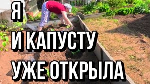 Жара!!! Базилик сажаю, капусту открываю....