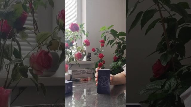 Почему люди слушают, как им вешают лапшу на уши и верят смотреть онлайн