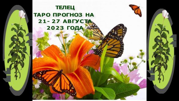 ТЕЛЕЦ ТАРО ПРОГНОЗ НА НЕДЕЛЮ С 21 ПО 27 АВГУСТ 2023 ГОДА