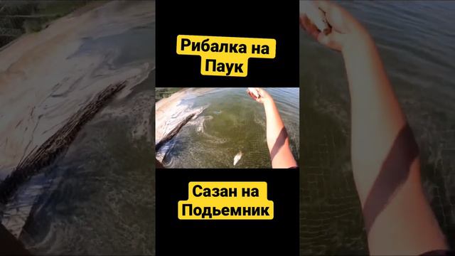 #рыбалканапаук  #рыбалка #ловлянаподьемник #сазан