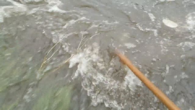 The D.O.T. Borrows My Rake To Drain Major Street Flood смотреть онлайн