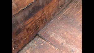 Мое пчеловодство в лежаках