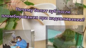 Почему болит зуб после пломбирования при надавливании?
