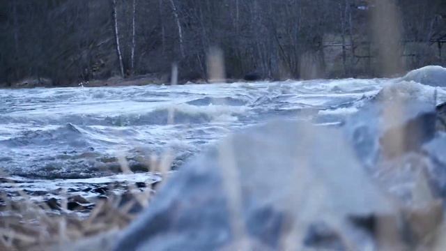 Losevo смотреть онлайн